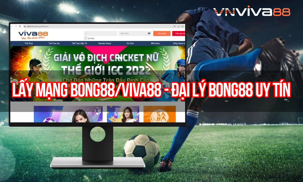 Lấy Mạng Viva88 – Mở Đại Lý Viva88 Uy tín